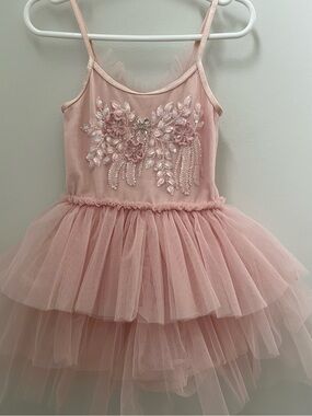 Tutu Du Monde Blush Pink Embellished Tulle Ballet